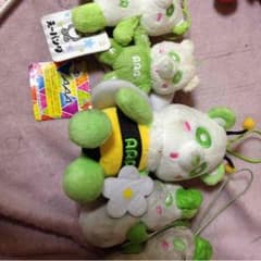 AAA 緑 えーぱんだ セットのサムネイル