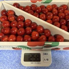 【紅王本日最終】山形県産さくらんぼ やまがた紅王 3Lのサムネイル