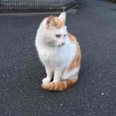 たいせい様専用のサムネイル