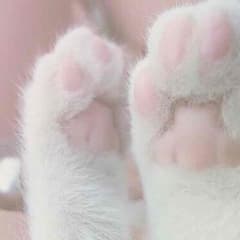 CHIHIRO 様専用ページのサムネイル