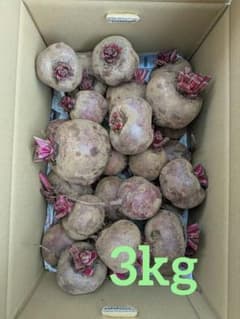 特売【訳あり】　ビーツ　約3キロ　三浦半島　農家直送　農薬不使用(栽培期間)のサムネイル