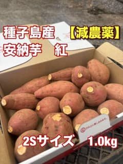 種子島産安納芋紅【減農薬】 2Sサイズ 1kg - メルカリ
