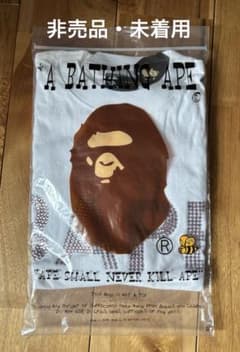超希少・非売品】A BATHING APE メンズノンノ懸賞当選品 Tシャツ 