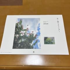 花と緑の壁掛けカレンダー 2026年 栗原はるみのサムネイル