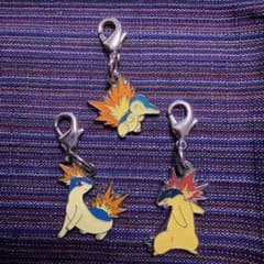 ポケモンセンター　メタルチャーム　ヒノアラシ　マグマラシ　バクフーン