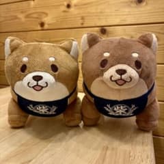 【即日発送！圧縮なし】 忠犬 もちしば 柴犬 しばいぬ ぬいぐるみ ２個セット