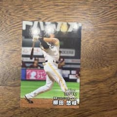 カルビー 柳田悠岐 プロ野球カード 2025 - メルカリ