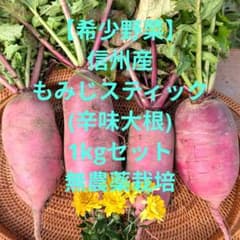 【希少野菜】信州産もみじスティック(辛味大根)　4本セット約1kg　無農薬のサムネイル