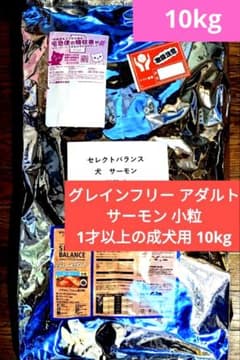 セレクトバランス グレインフリー アダルト サーモン 成犬用 10kg