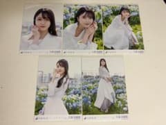 乃木坂46 久保史緒里 ここにはないもの 生写真 5枚セットのサムネイル