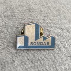 ピンバッジ 30143 ヴィンテージ ピンバッチ ピンズ pins - メルカリ