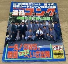 【値下げ！】週刊ゴング　1990年9月13日号のサムネイル