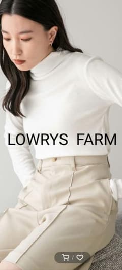 LOWRYS FARMフライスカラータートルのサムネイル