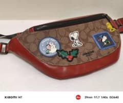 未使用品 コーチ COACH ボディバッグ スヌーピー バッグ CE541 - メルカリ