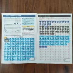 グーンマーク ポイント 224.4点のサムネイル