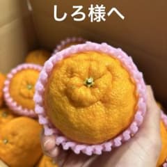しろ様へのサムネイル