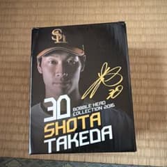 2016 高田翔太 30のサムネイル