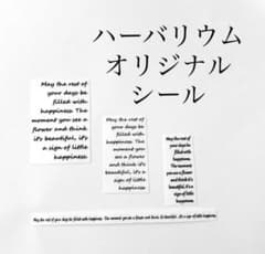 英文　小サイズ　ハーバリウム　オリジナルシールのサムネイル