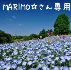 ダブルガーゼ  クローバーのサムネイル