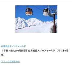 白馬岩岳スノーフィールド　リフト1日券のサムネイル