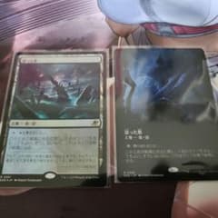 MTG　湿った墓　通常Foil　ボーダーレス各1枚のサムネイル