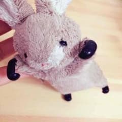 iPhone5s  スマホカバー  うさぎ  ぬいぐるみのサムネイル