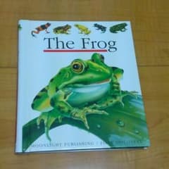 【美品】カエル仕掛け絵本・洋書／カエルグッズ／本／送料込のサムネイル