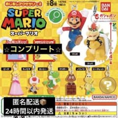 スーパーマリオ　めじるしアクセサリー２のサムネイル