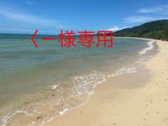 バイアステープのサムネイル