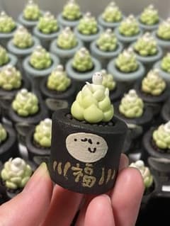 masayosan様専用のサムネイル