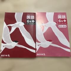 四谷大塚 予習シリーズ 国語 6年 下 有名校対策 - メルカリ