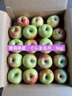 青森県産 ぐんま名月 5kgのサムネイル