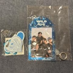 WILDBLUEグッズ　専用 WILDBLUE グッズ - メルカリ
