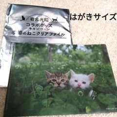 【未使用】岩合光昭 コラボ 季節のねこクリアファイル はがきサイズ非売品 最安値のサムネイル