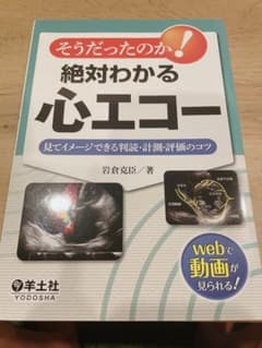 そうだったのか!絶対わかる心エコー 見てイメージできる判読・計測・評価のコツのサムネイル