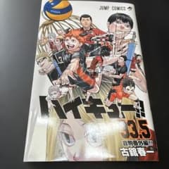하이큐!! 33.5 극장판 쓰레기 버려진 장소의 결전