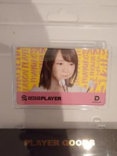 ざわさん専用】【絶版】ダーツライブカード プレイヤーグッズ 第二弾