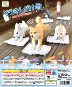 【ペプシ様専用】ぞうきんがけ当番　カワウソ　ガチャガチャのサムネイル