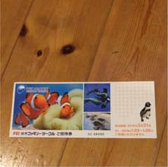 江ノ島水族館チケット1枚のサムネイル