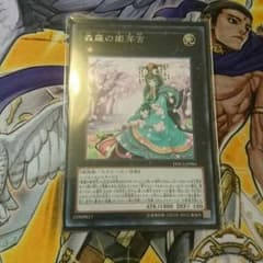 【翌日発送】森羅の姫芽宮のサムネイル