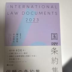 国際条約集のサムネイル