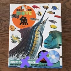 講談社の動く図鑑 MOVE 魚 DVD無しのサムネイル