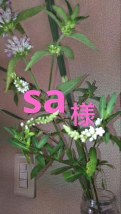 袋帯×2、名古屋×1のサムネイル