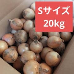 北海道産 新鮮玉ねぎ Sサイズ 箱込み20kg ④ - メルカリ