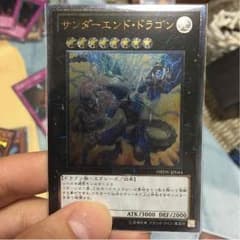 だーあさ様専用 サンダーエンドドラゴンのサムネイル