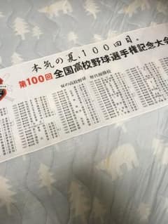 高校野球 手ぬぐいのサムネイル