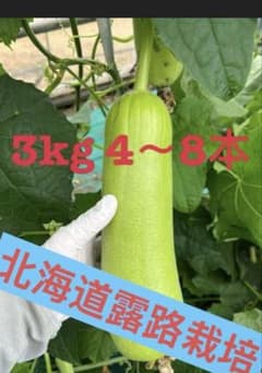 へちま　３kg　4～8本 露路栽培のため値下げのサムネイル