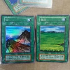 ぴーちゃ様専用のサムネイル