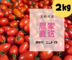 カピコ様専用のサムネイル