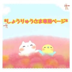 ◆ しょうりゅうさま専用ページ ◆のサムネイル